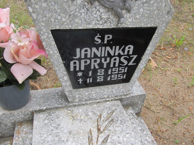 Janina Apryasz 1951 Świecie - Grobonet - Wyszukiwarka osób pochowanych