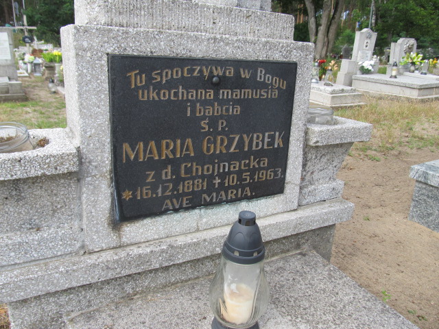 Maria Grzybek 1881 Świecie - Grobonet - Wyszukiwarka osób pochowanych