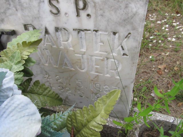 Bartek Wajer 1937 Świecie - Grobonet - Wyszukiwarka osób pochowanych