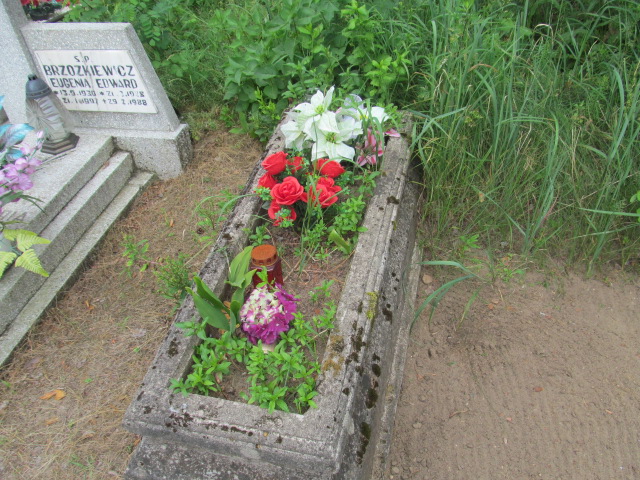  NN Świecie - Grobonet - Wyszukiwarka osób pochowanych