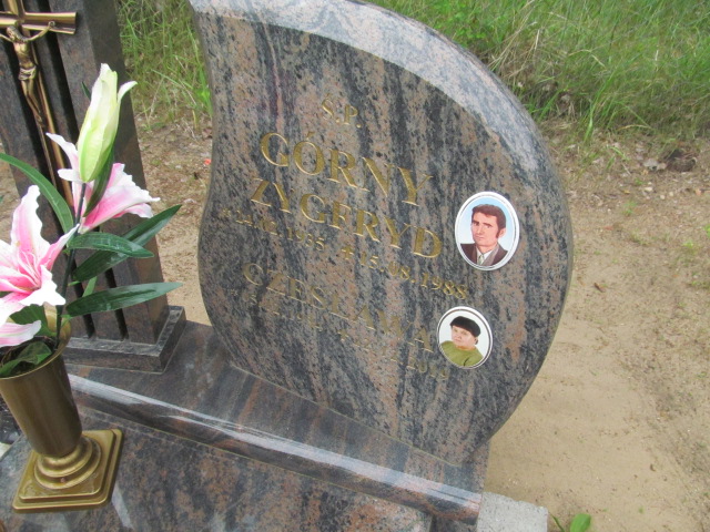 Czesława Górny Świecie - Grobonet - Wyszukiwarka osób pochowanych